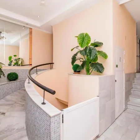 Velansis 또레비에하