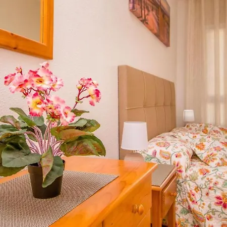 Velansis 또레비에하